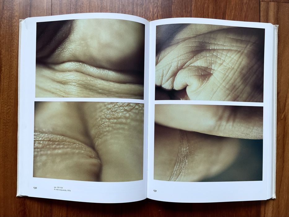 Bernardo Pinto de Almeida - Ângelo de Sousa: Lógica da Percepção