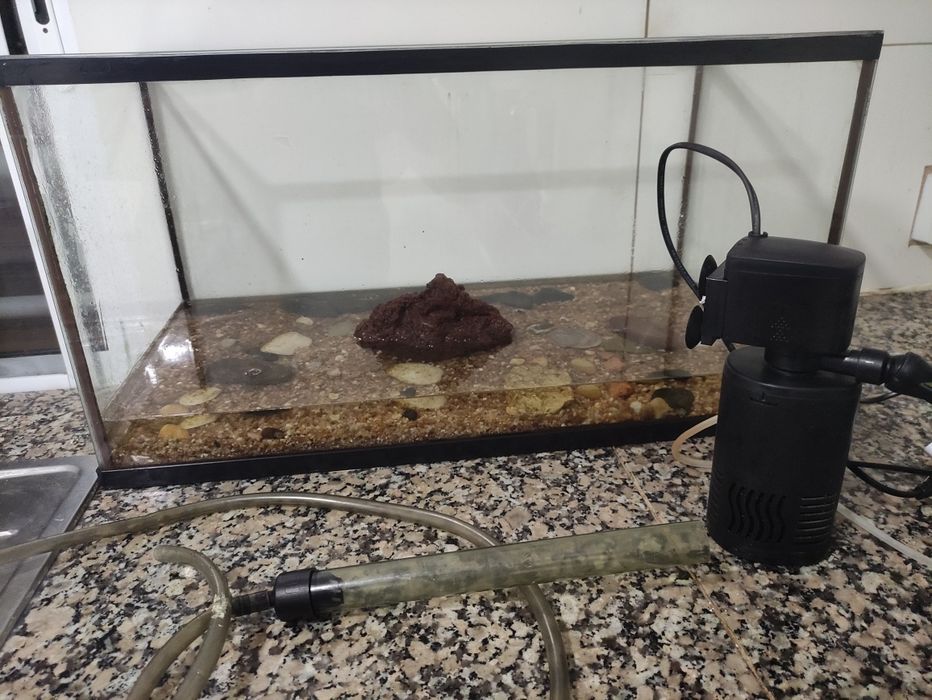 Aquário de 60 Litros