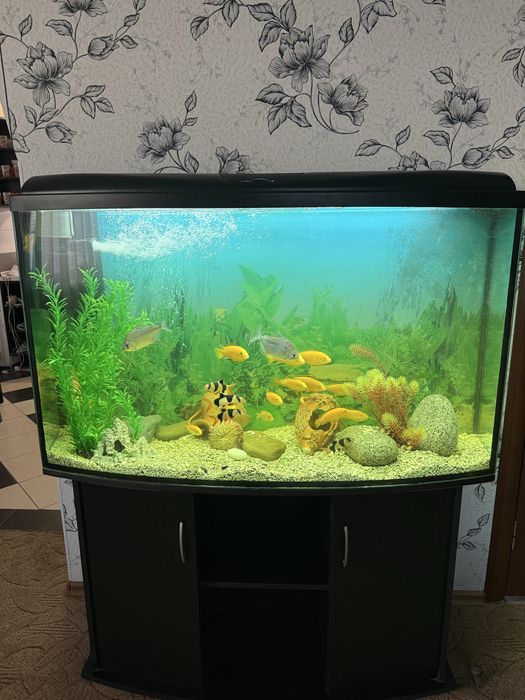 Продам акваріум з рибками