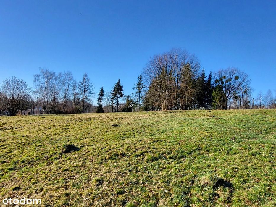 Pięknie położone działki budowlane z lasem w Marklowicach - View 2