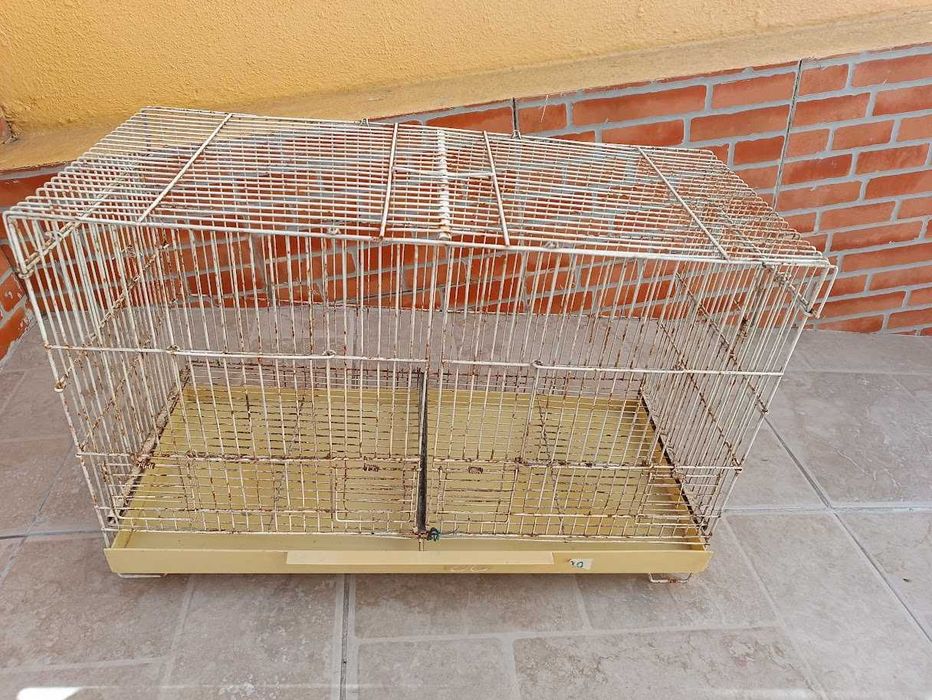 Gaiolas (Foros de Amora