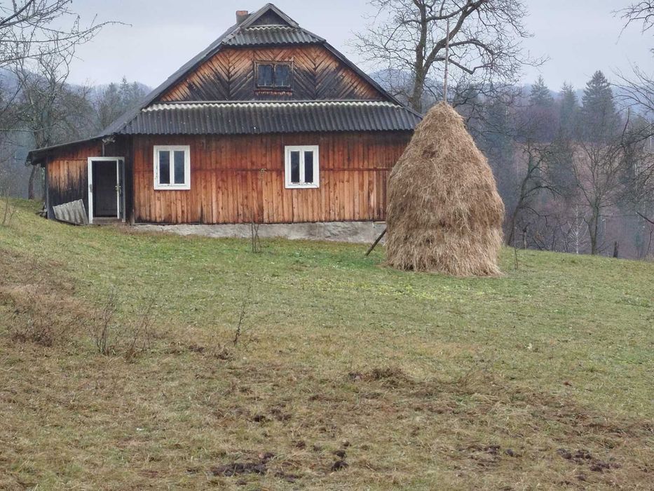 Будинок в Карпатах