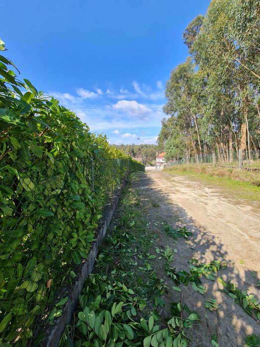 Serviços de JARDINAGEM