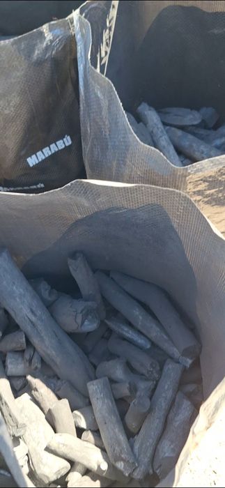 Carvão vegetal marabú