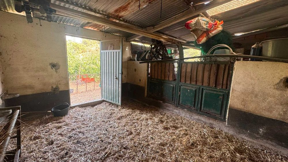 Quinta / Terreno Rústico para Venda – Palvarinho, Salgueiro do Campo