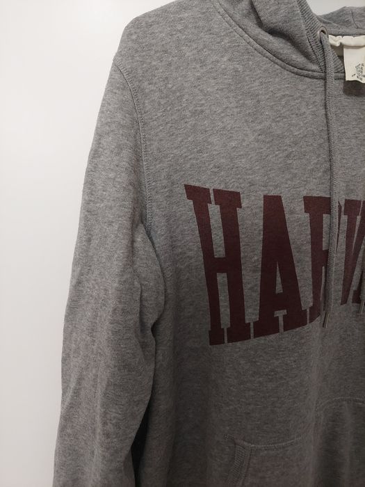 Bluza szara z długim rękawem Harvard H&M plus size EU XL