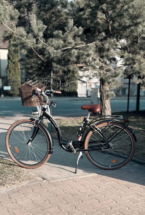 Rower miejski Le Grand Lille 6