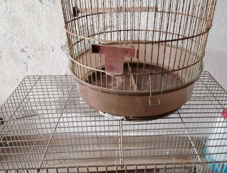 Gaiolas redonda e retangular, para passaros, cada 5€