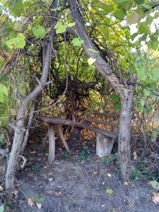 Продам земельну ділянку.Краснокутськ