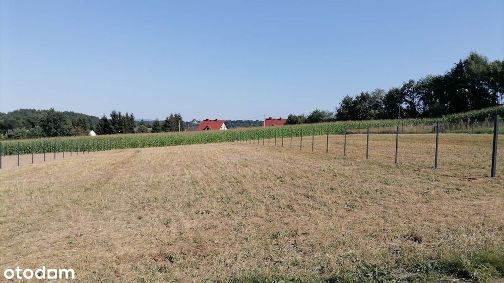 Cicha Płaska Działka Budowlana Uzbrojona Woda Prąd Gaz Bieńkowice 12Ar