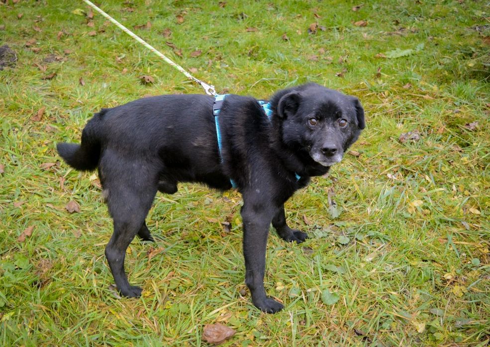 Nikt nie chce mnie pokochać