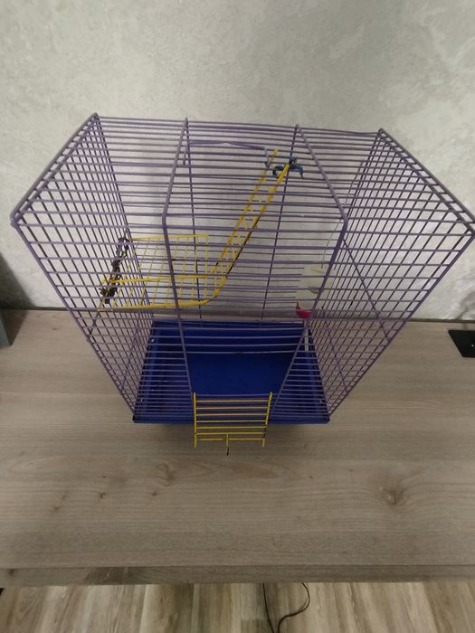 Клітка для гризунів