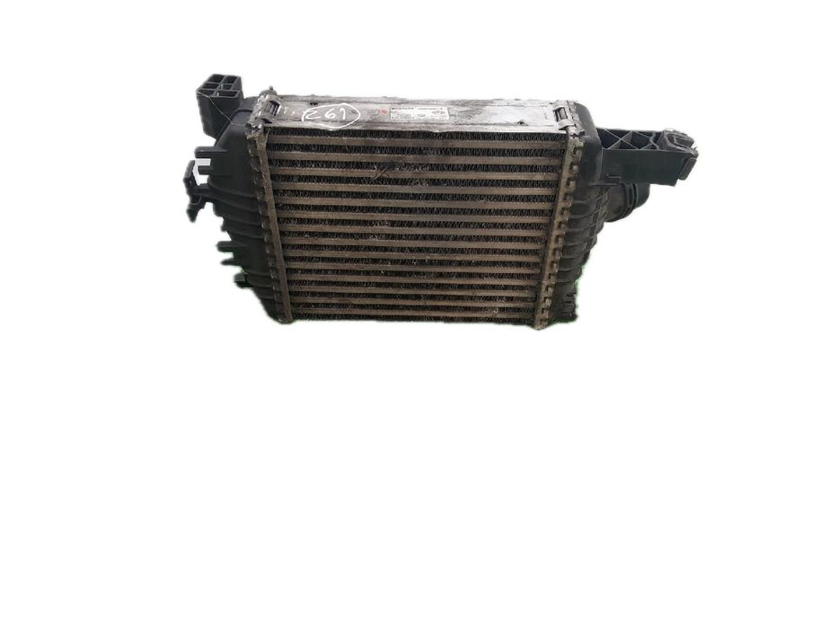 Radiador do intercooler RENAULT Clio IV (BH_)