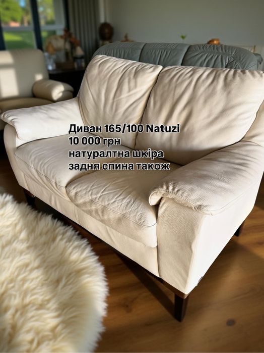 шкіряний диван Natuzi