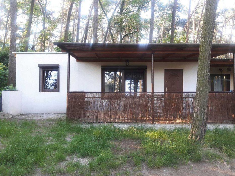 Domki w Powidzu przy "Dzikiej Plaży"