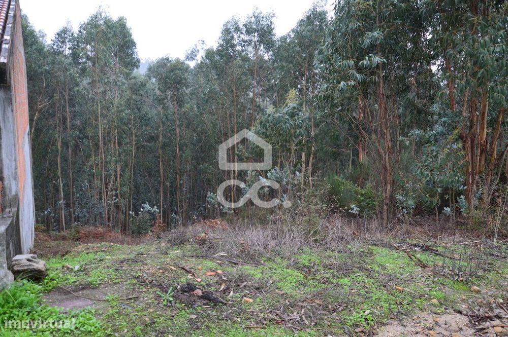 Terreno com zona de construção, Lagares e Figueira, Penafiel