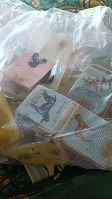 Colecção de caixas de fósforos