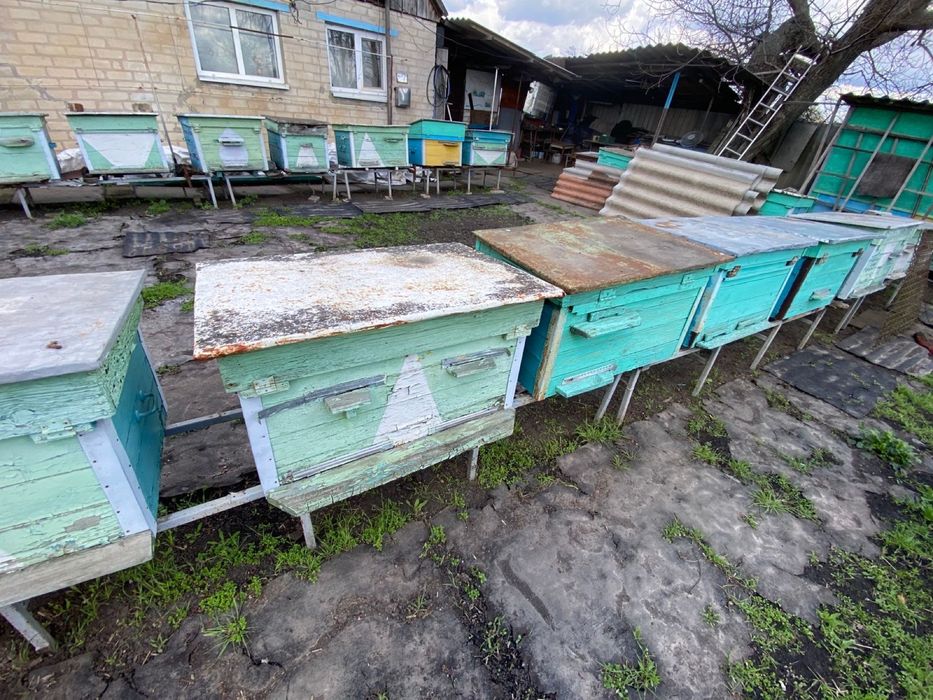 Продам вуліки 13