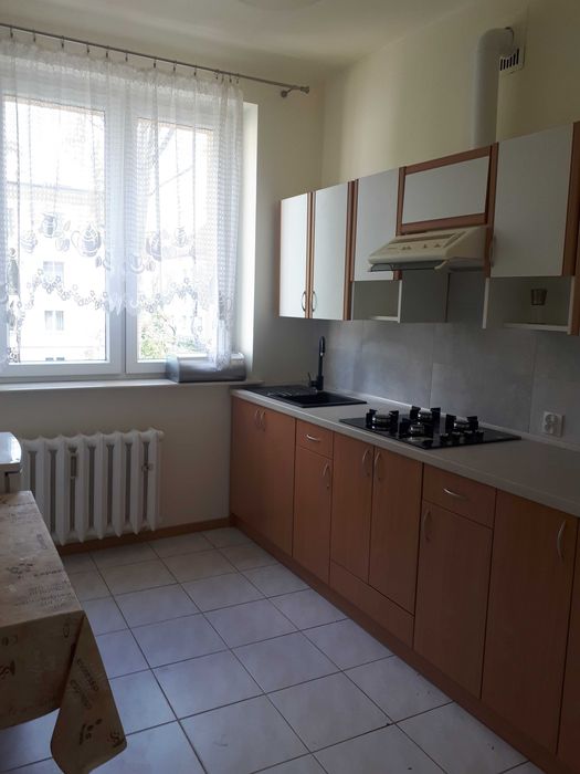 50 m2 w centrum do wynajęcia