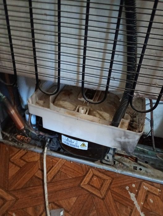 Холодильник BEKO CSA 36000 на запчастини