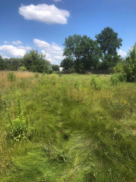 Продам землю в с. Омелянів Чернігівської обл., від Київа 45км.