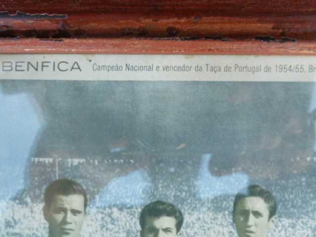 Quadro moldura muito antigo com equipa do Benfica ano 1954/55