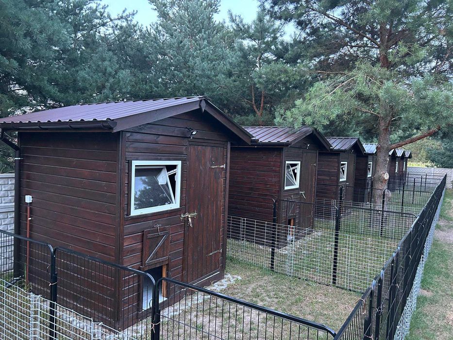 Hotel dla psa (zwierząt) Solec Kujawski Bydgoszcz Toruń