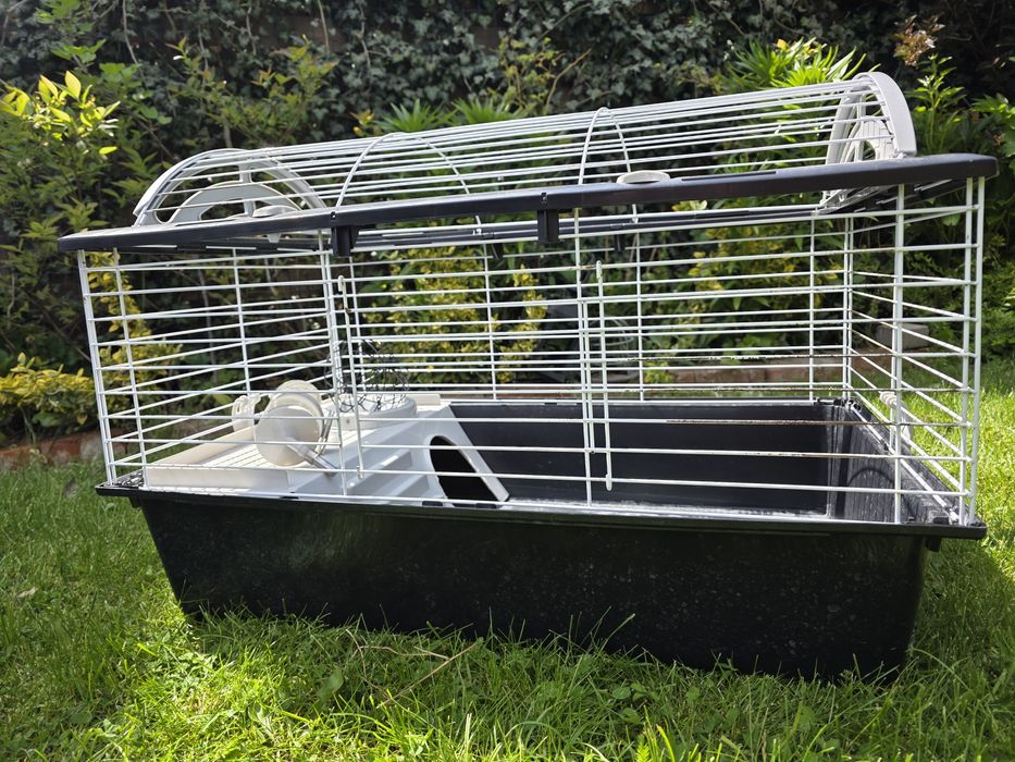 Klatka dla świnek morskich