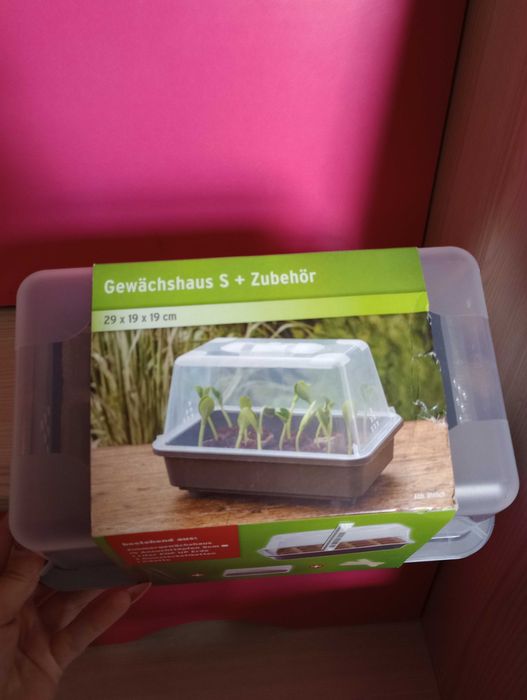 Nowa mini szklarnia