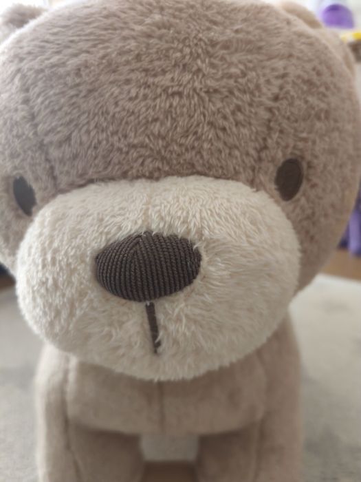 Urso baloiço criança