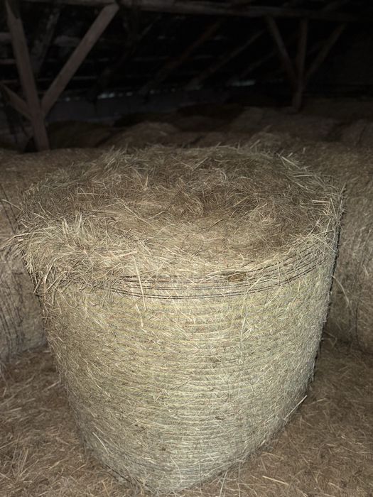 Sprzedam sianokiszonke/siano