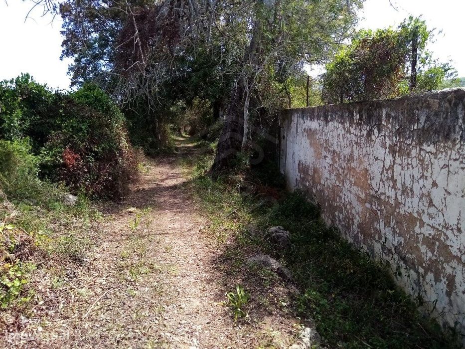 Terreno Rustico com 11 136m2, Loulé, Algarve