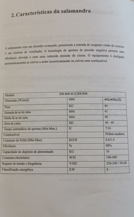 Vendo Salamandra a pellets  praticamente nova