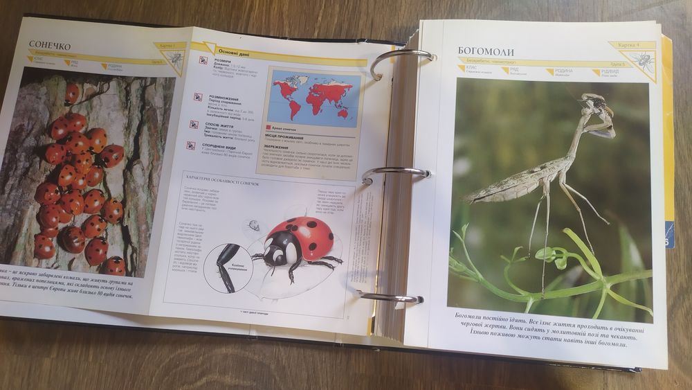 Енциклопедія У світі дикої природи,  Мир на ладоне