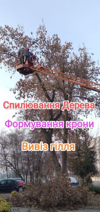 Спиляти Дерево, Спилить Дерево, Обрізка Дерев, Кронування Дерев