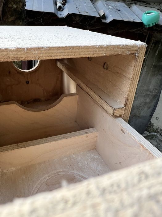 Ninhos usados em bom estado