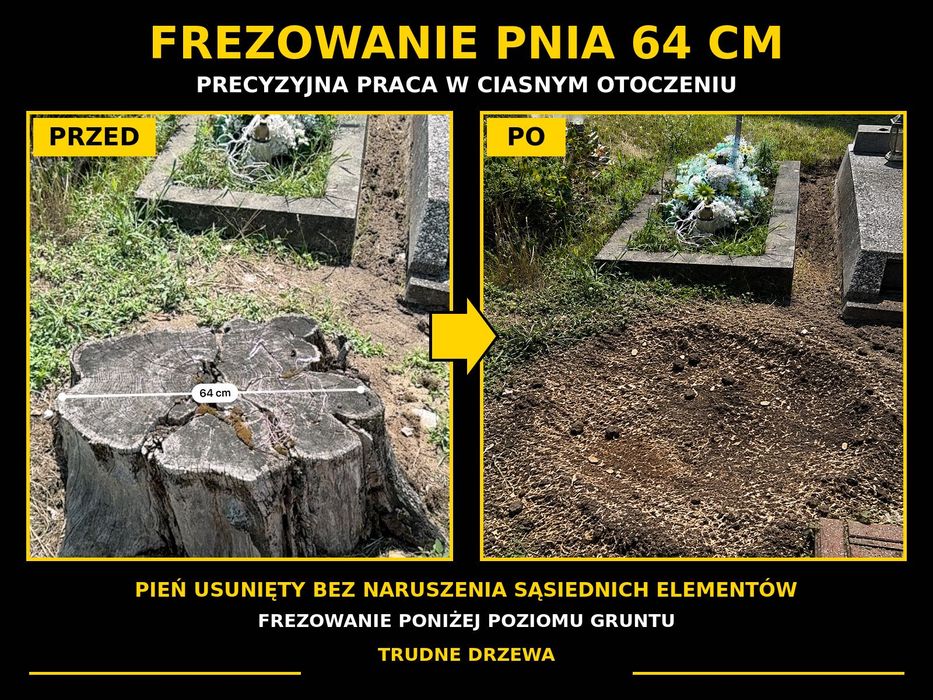 Wycinka drzew • frezowanie pni • karczowanie • cennik | Łódzkie
