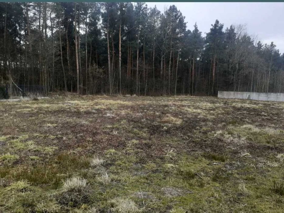 Sprzedam działkę przemysłowo-usługową - Widok 5