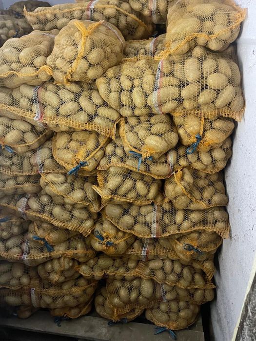 Ziemniaki Queen Anne 15 kg