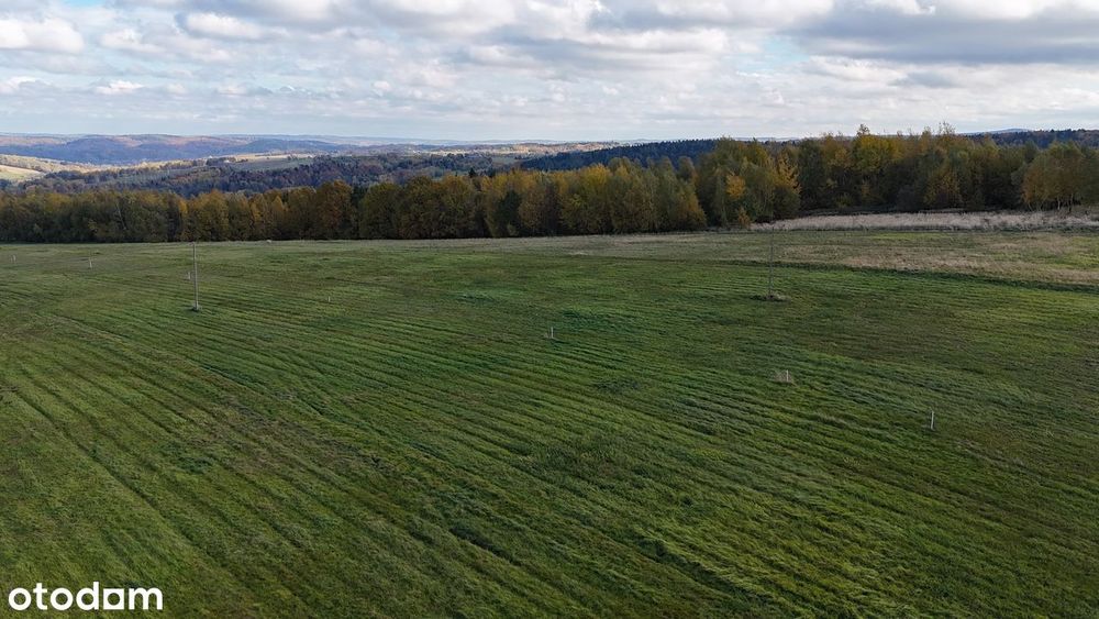Widokowa działka w Sołonce z WARUNKAMI ZABUDOWY - 19 ar