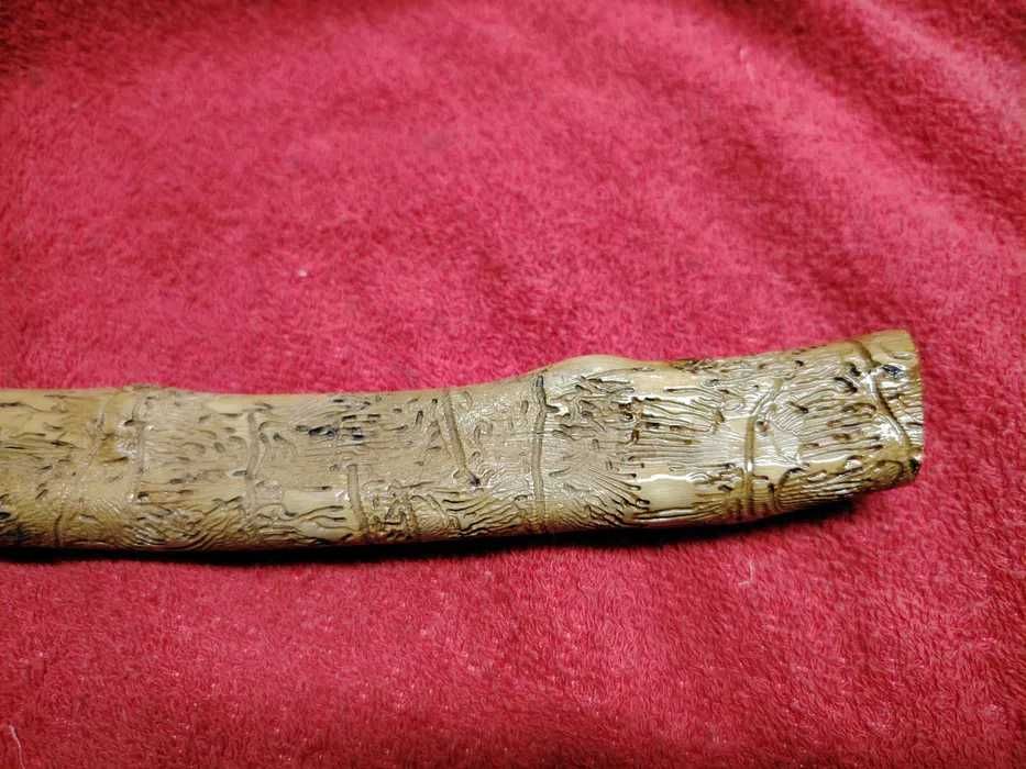Pau de oliveira trabalhado por bicho da natureza