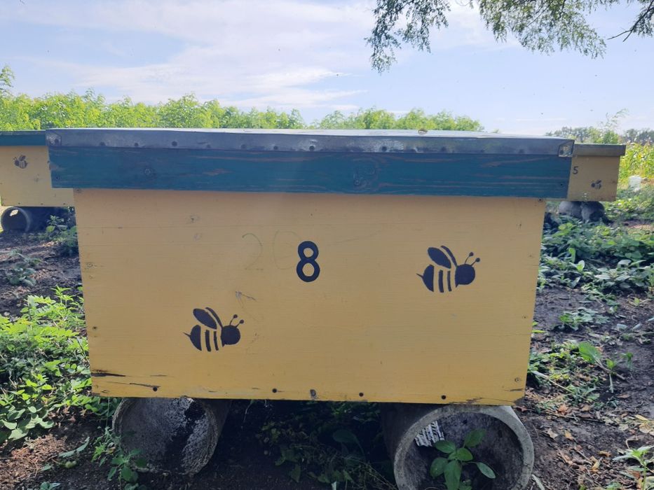 Улья 20 рамочные