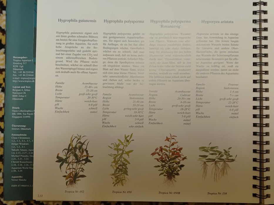 tropica aquarium plants