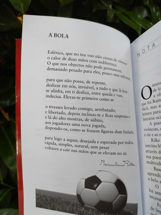 Reflexões sobre Rainer Maria Rilke (Samuel Simões)