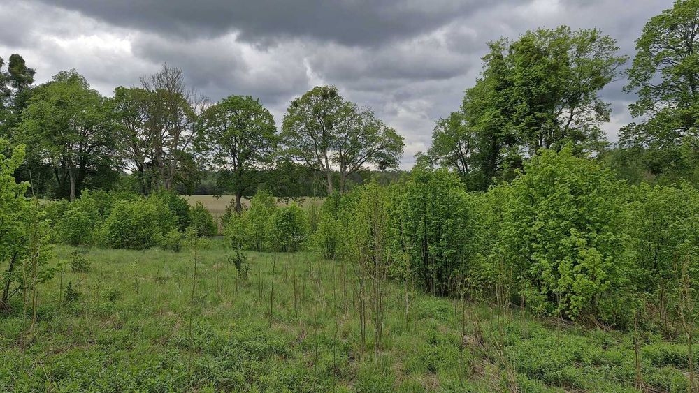 Działka 3026 m² Pupki – blisko lasu
