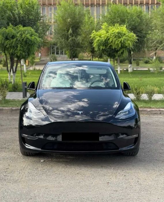 Tesla Model Y Dual Motor Long Range