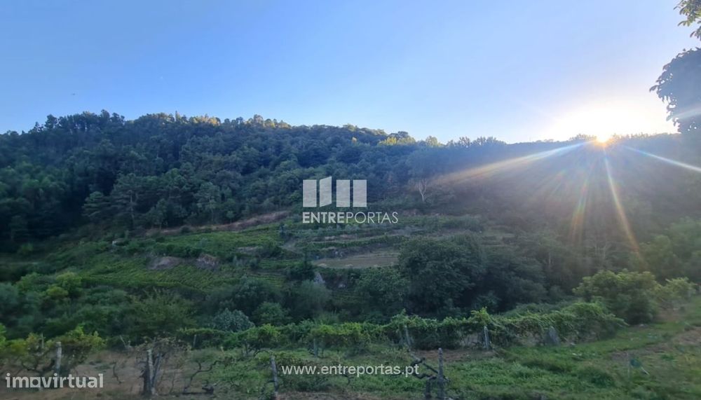 Venda de Terreno, Viariz Baião — Viariz, Porto