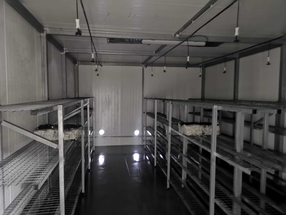 Prateleiras em ferro com malha zincada