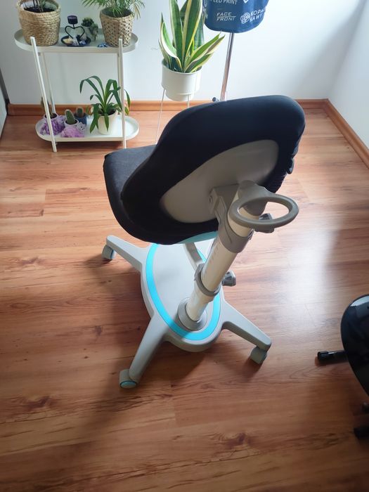 Fun Desk Fotel Ortopedyczny Dla Dziecka Z Regulacją
