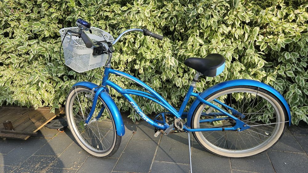 Rower electra, rower miejski